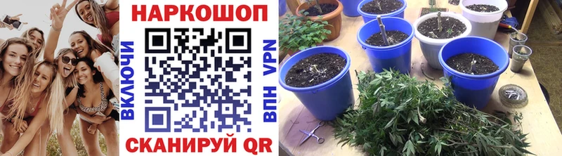 Виды наркотиков купить Байкальск КОКАИН Alpha PVP АМФЕТАМИН МЕТАДОН ГАШ