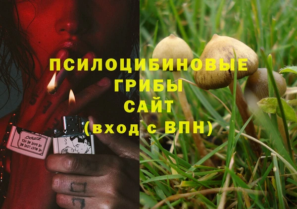 амф Балахна