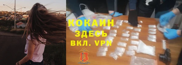 эйфоретик Аркадак